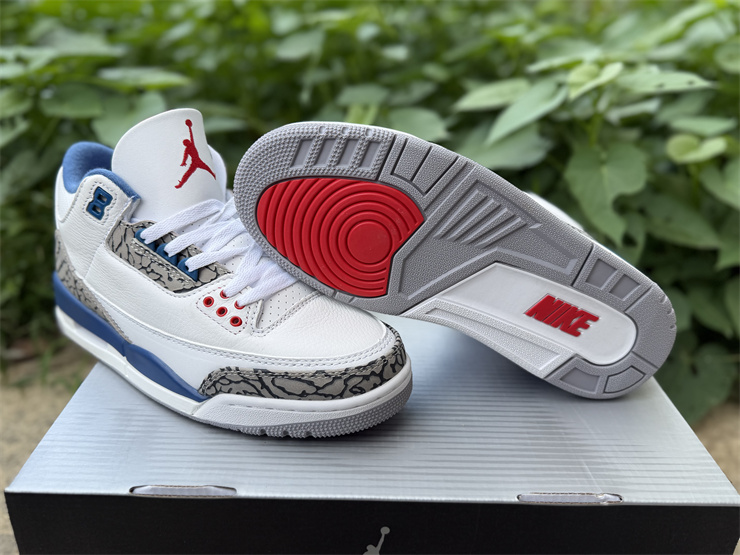 Jordan Air Jordan 3 Retro True Blue