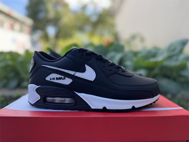Nike Air Max 90 LTR