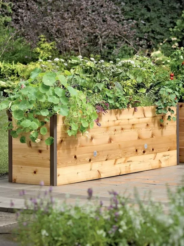 Jardinière surélevée Ankerfield à arrosage automatique et teintée écologiquement