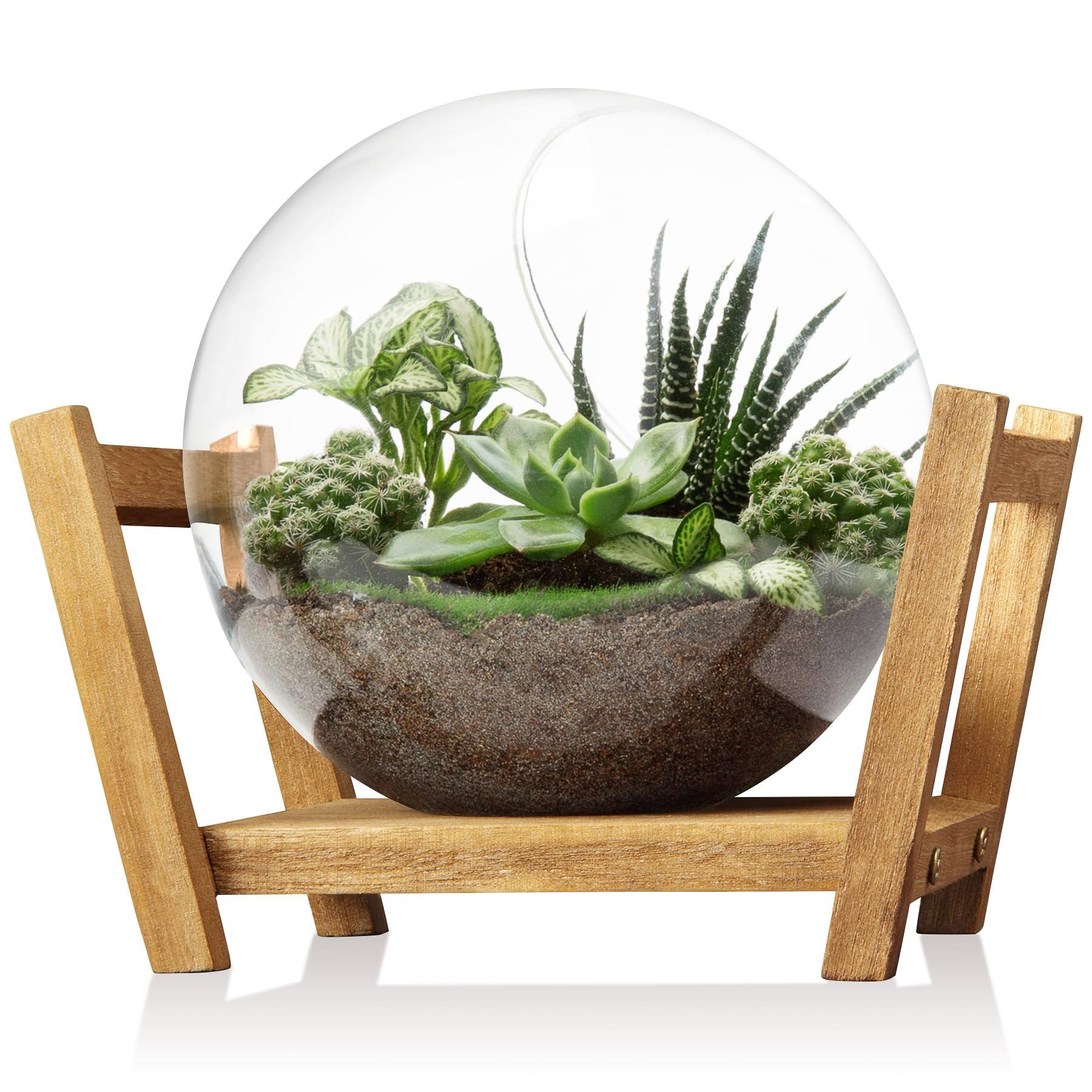 Monoture Glass Plant Terrarium with Wooden Stand As Decoration for Succulent,Desktop Plant Propagation Stations Air Plant Propagation Vase for