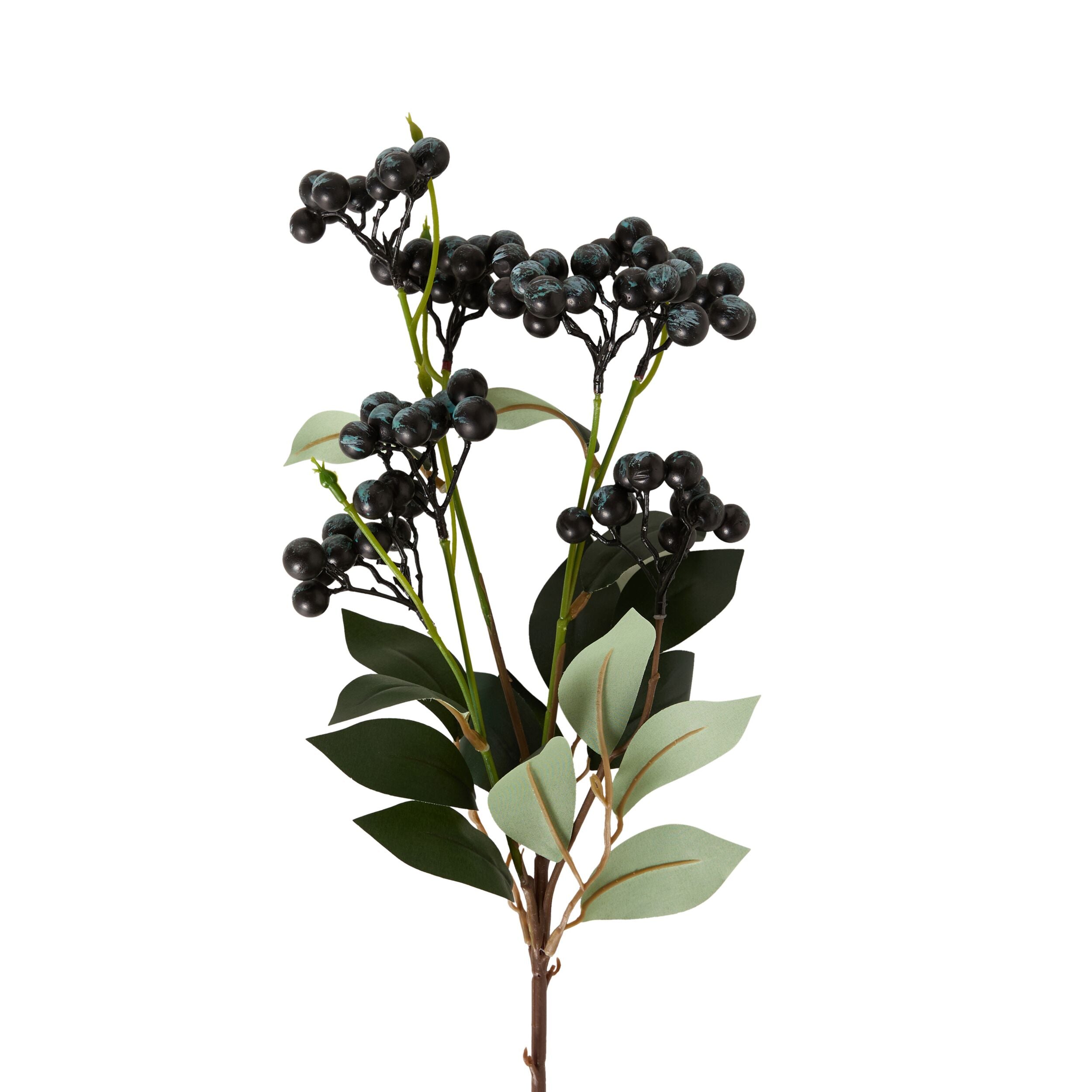 Bloomery Privet Berry Stem 69cm