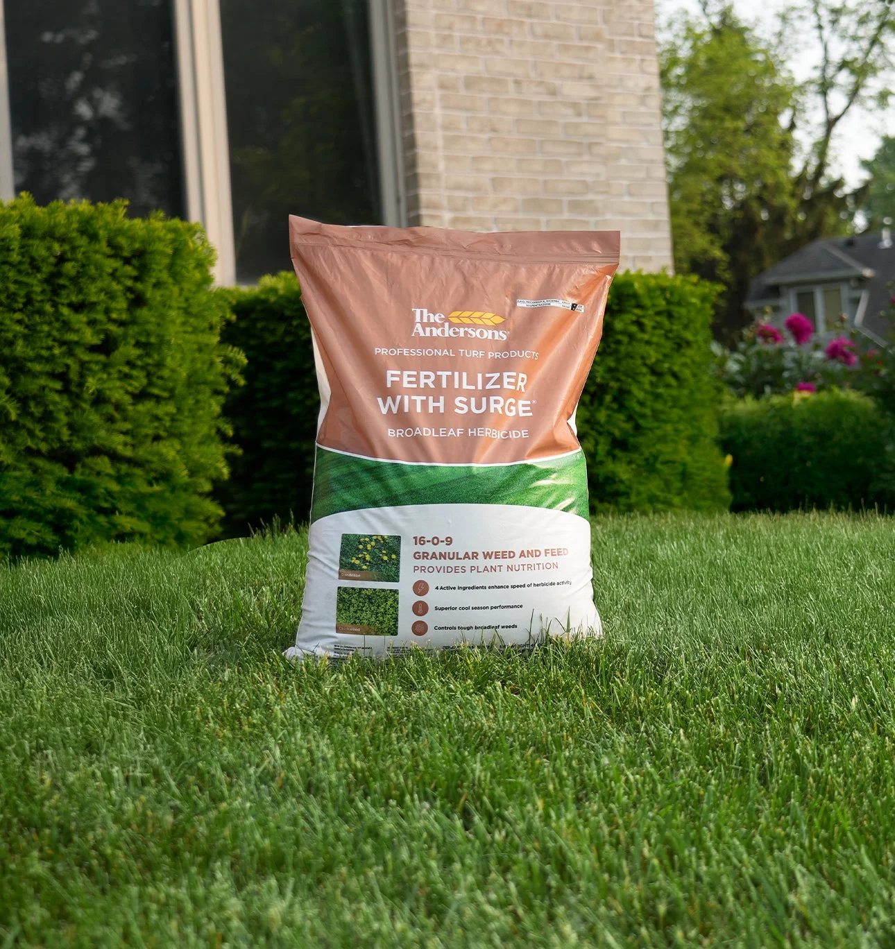 The Andersons Professional Surge Weed and Feed 16 - 0 - 9 Post - Emergent Weed Control and Fertilizer - Covers up to 20, 000 Sq Ft (40 lb)