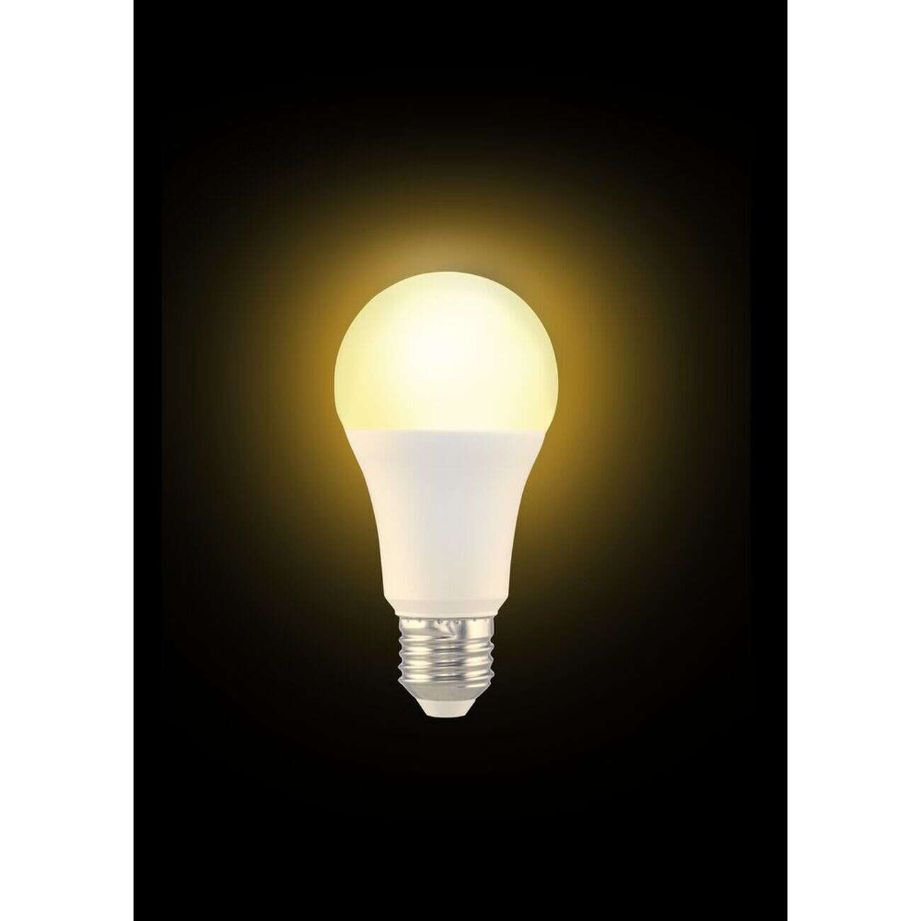 Ampoule LED E27 blanc chaud 14W=100W 1521lms classe F