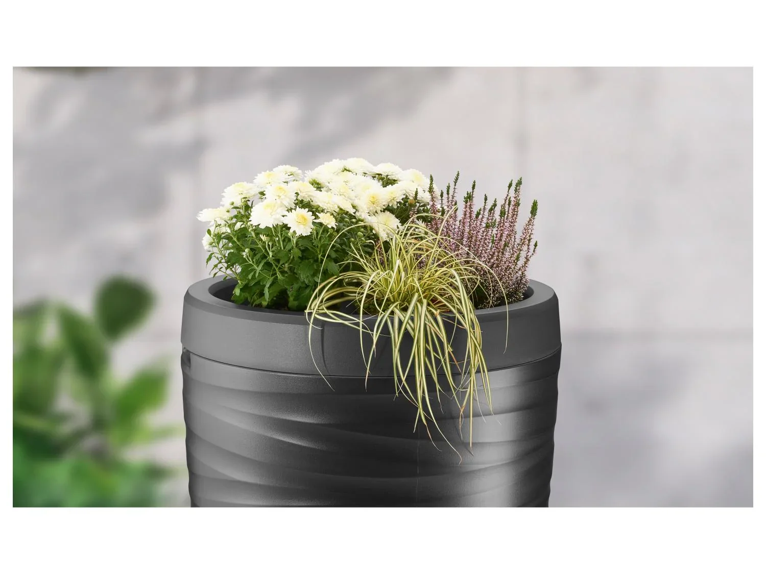 PARKSIDE Rcuprateur d'eau de pluie, 240 L