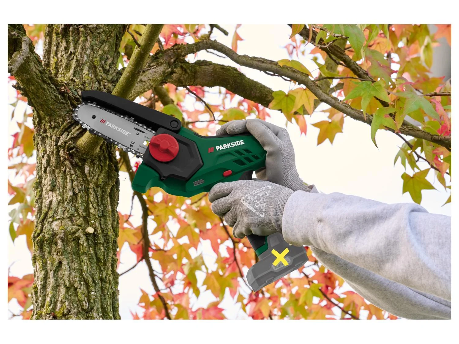 PARKSIDE Mini-trononneuse  bois sans fil PGHSA 12 D3, 12 V