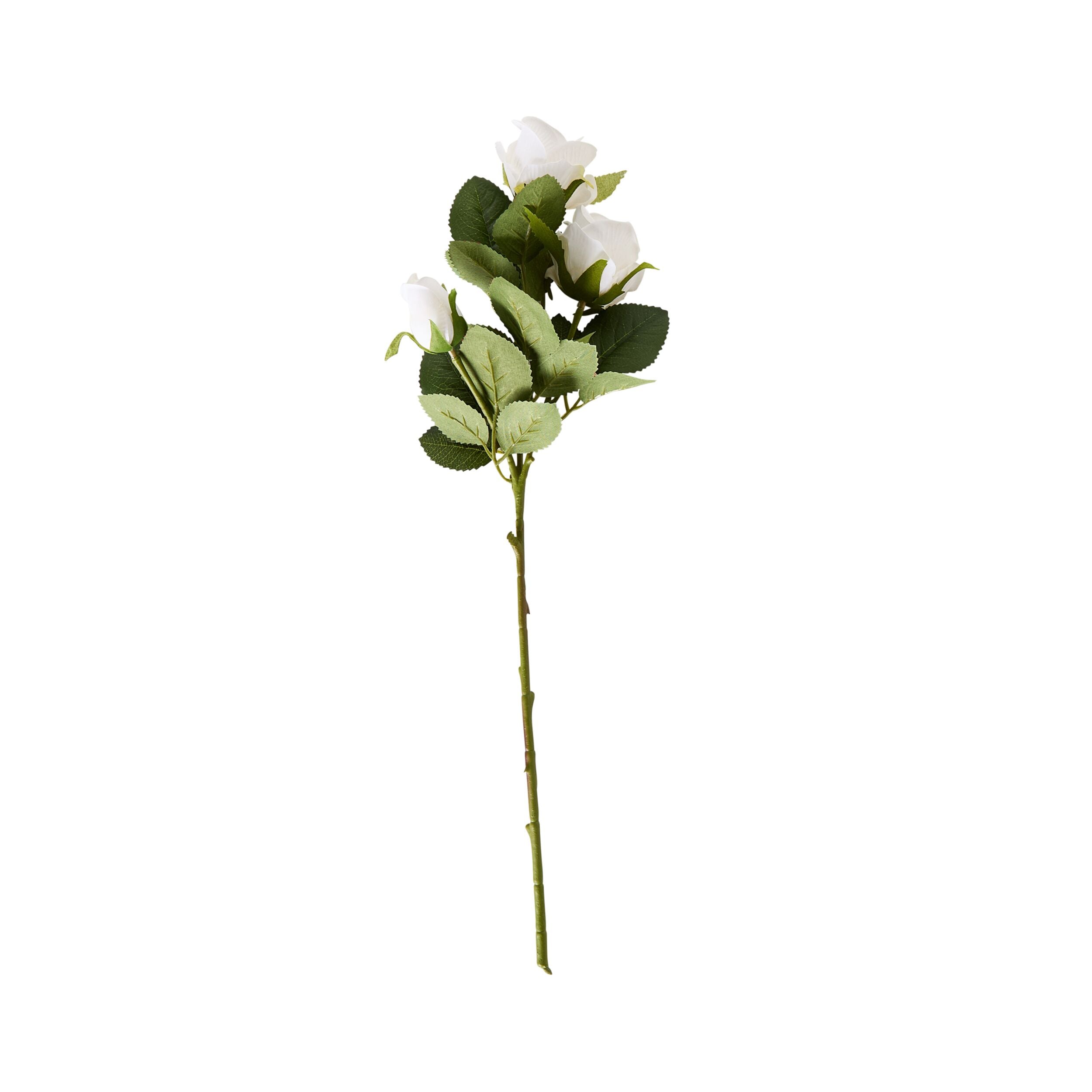Bloomery Rose Stem White 51cm