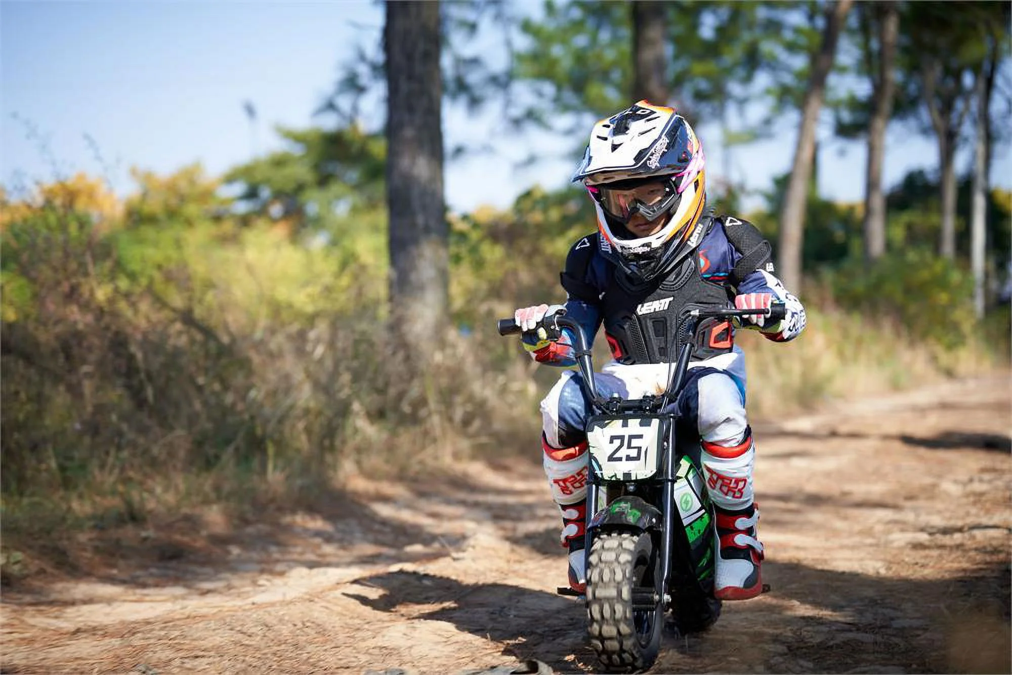 Mototec 24v 250w Electric Powered Mini Bike Black