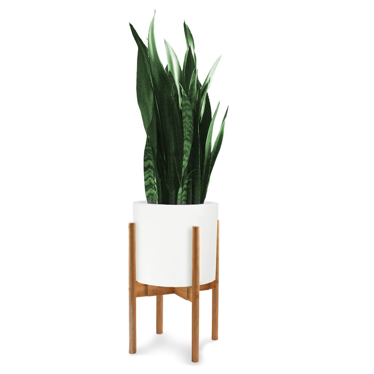 Fox and Fern Adjustable Plant Stand, Green