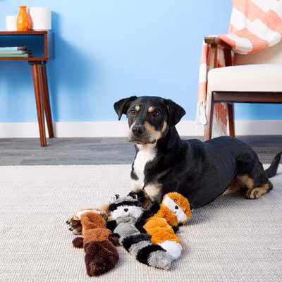 ZippyPaws Skinny Peltz No Stuffing Squeaky Plush Dog Toys, 3-pack