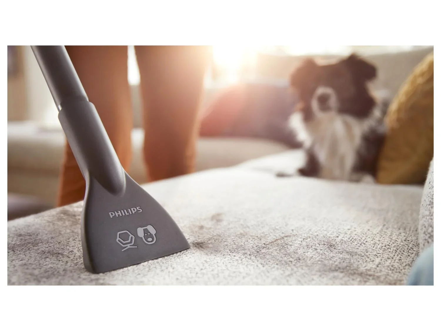 PHILIPS Aspirateur PowerGo FC8242/09 avec sac, 900 W