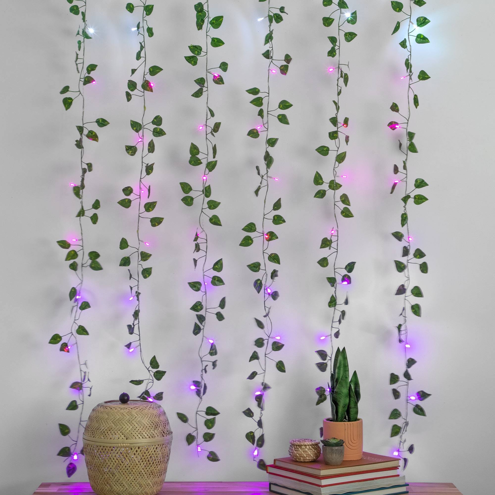 5' x 3.5' LED Vine Curtain String Lights Ombre - West & Arrow