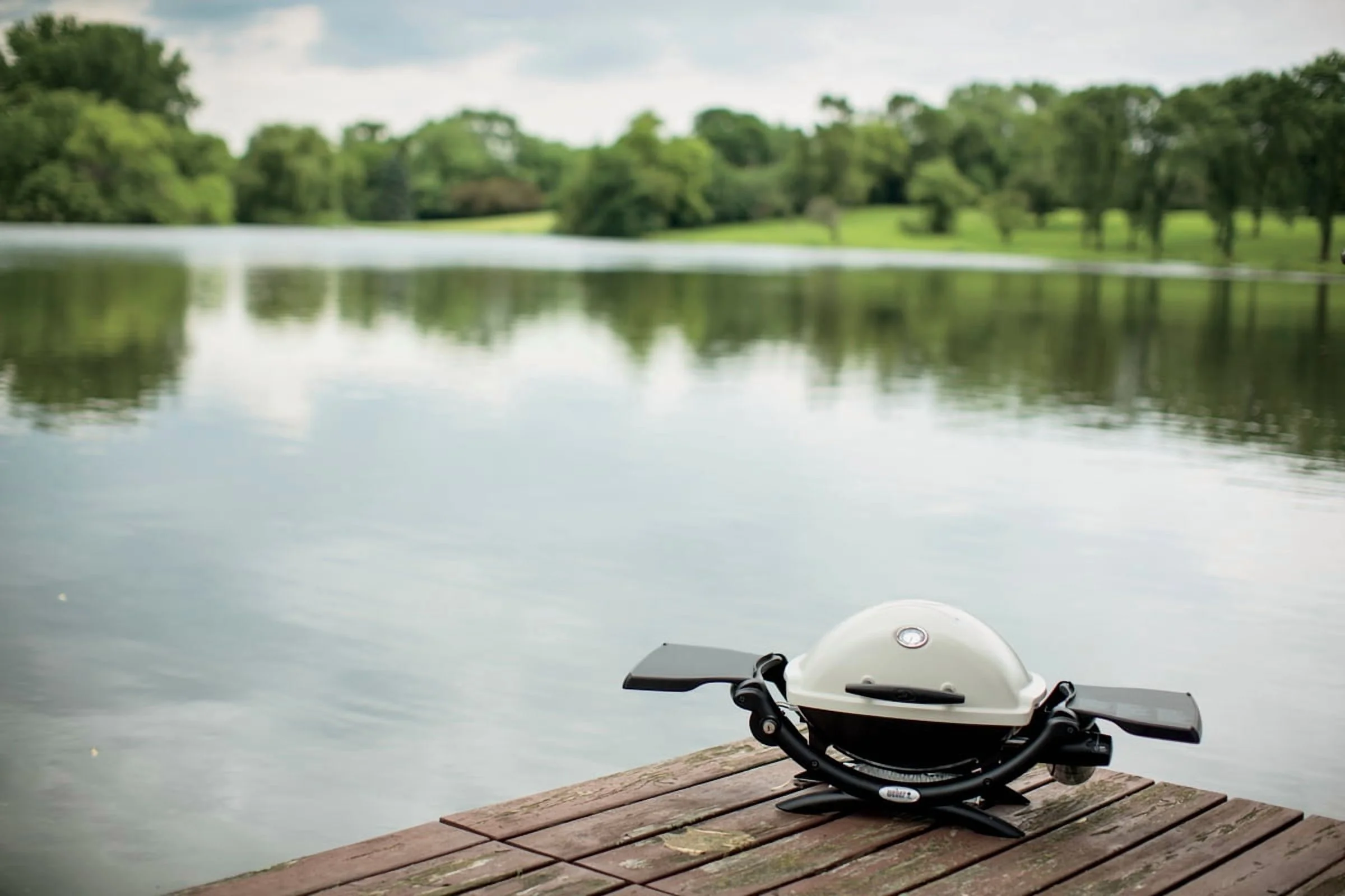 Weber Q1200 1 - Burner Titanium Gas Grill