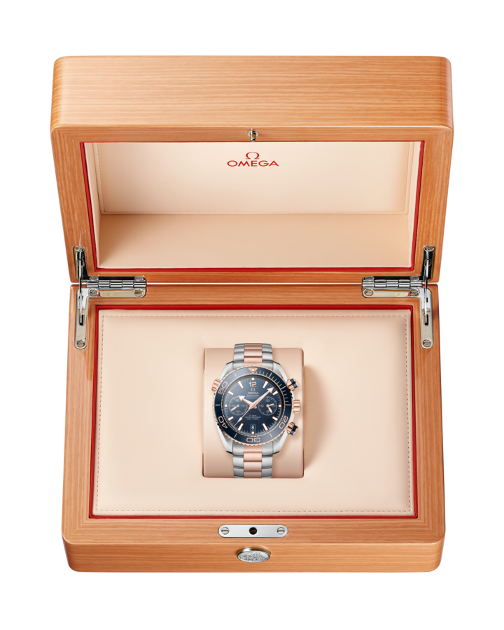 Seamaster Planet Ocean 600M 45.5mm