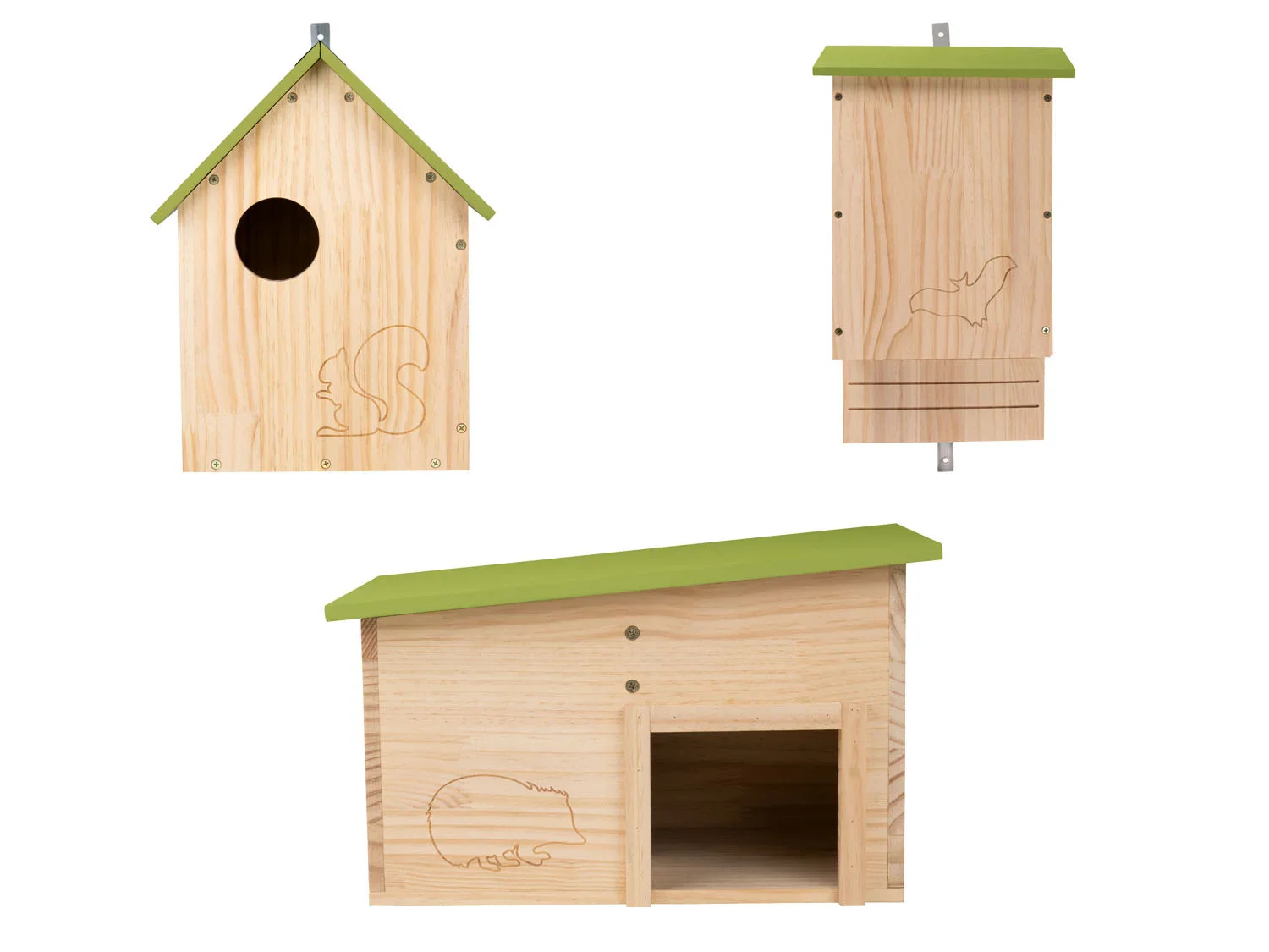 zoofari Gte  hrisson, gte  cureuil ou gte  chauve-souris