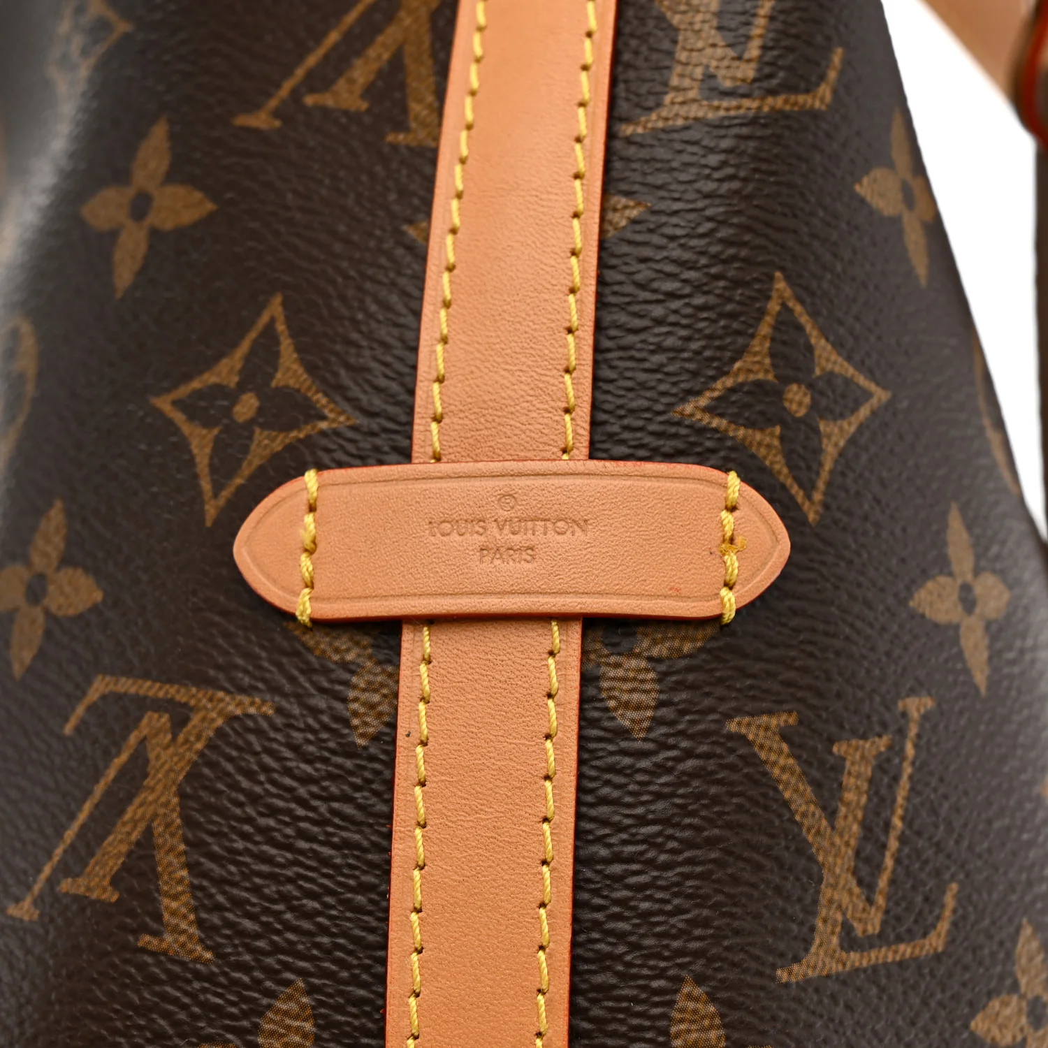Monogram Carryall PM