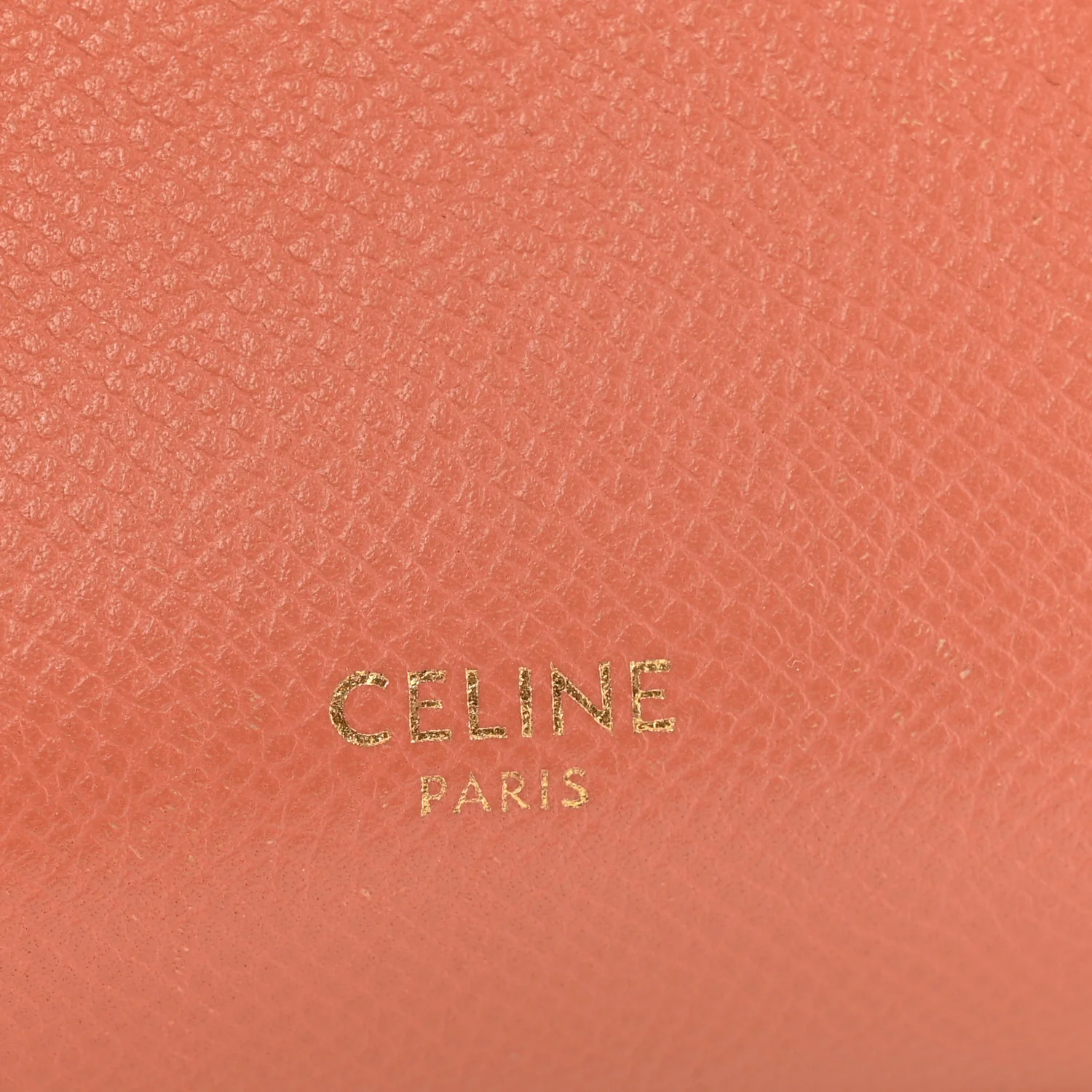 Grained Calfskin Pico Belt Bag Lychee