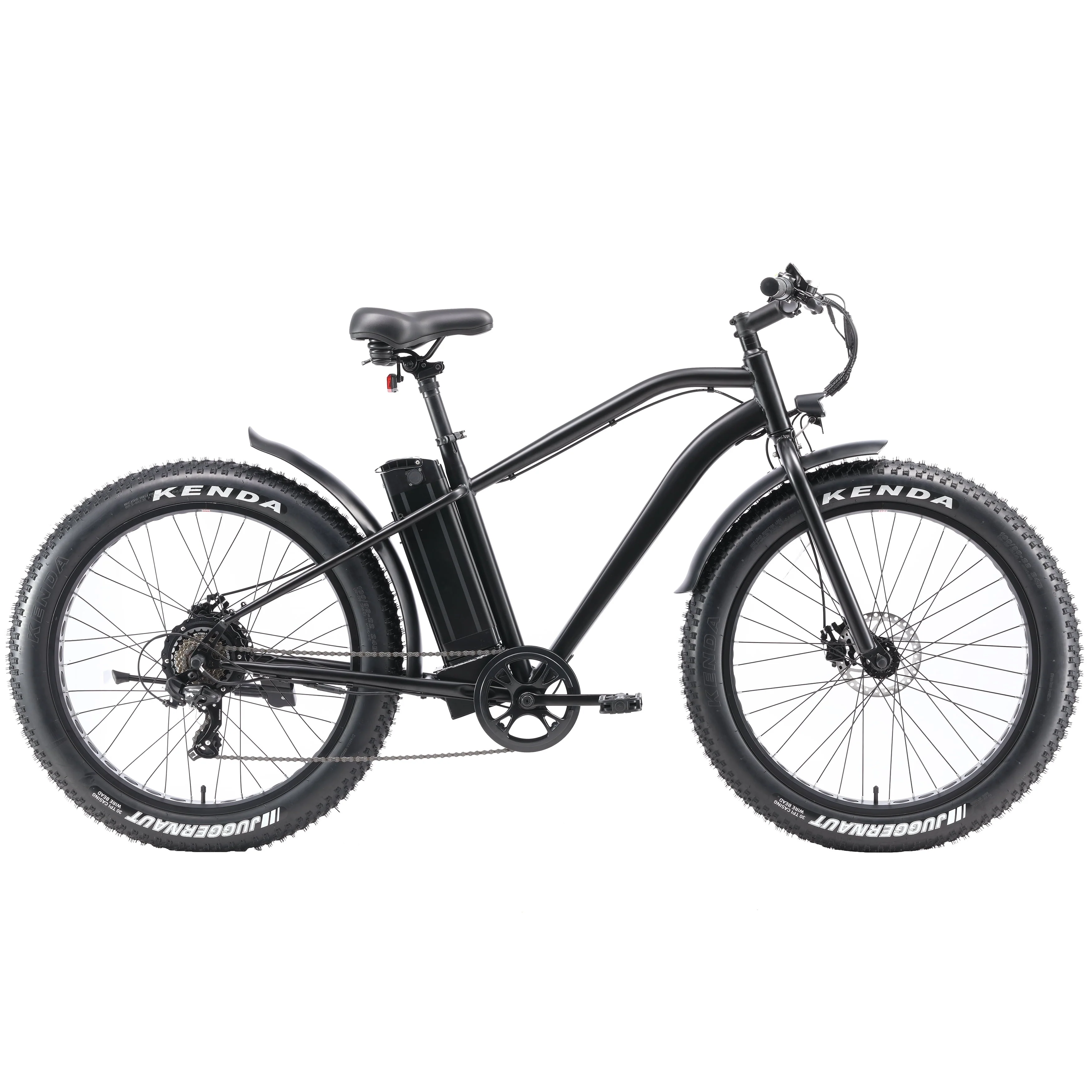 Electric Bike with 750W Motor, Electric Bike for Adults, Electric Mountain Bicycle with 48V 14.5ah Battery, 26'' Fat Tires, LCD Display, Front and Rear LED Lights, Professional 7 - Speed Gears