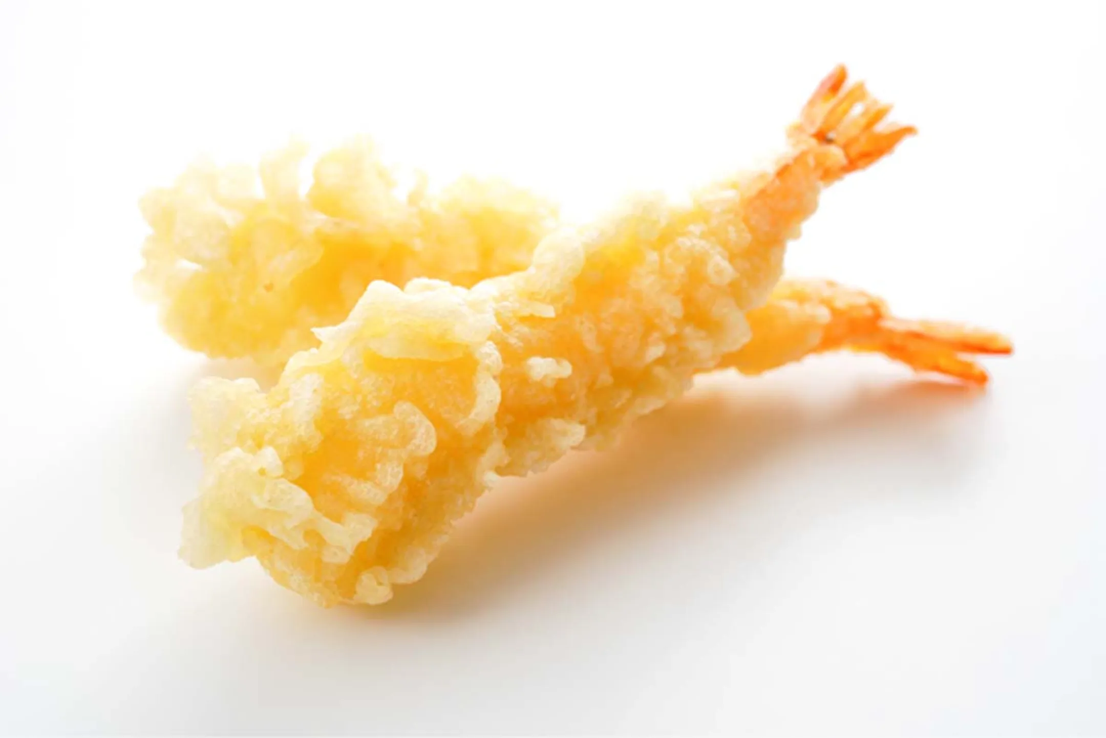 FRITEL Friteuse FR 1450