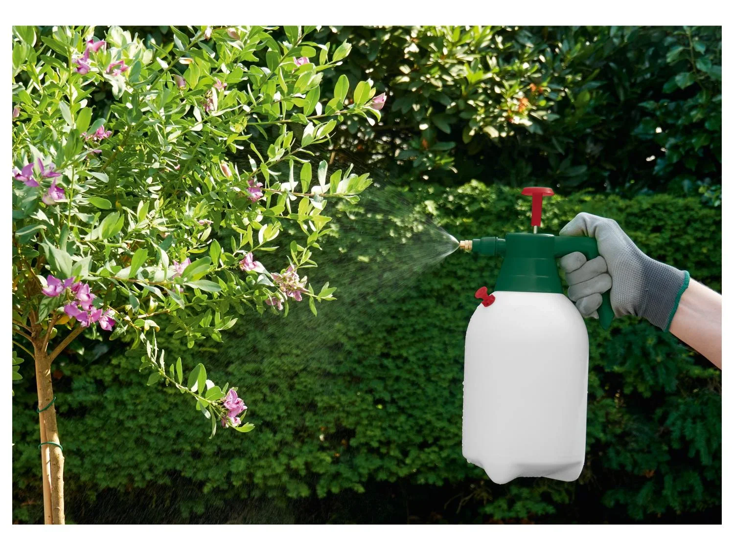 PARKSIDE Pulvrisateur  pression, 2 L