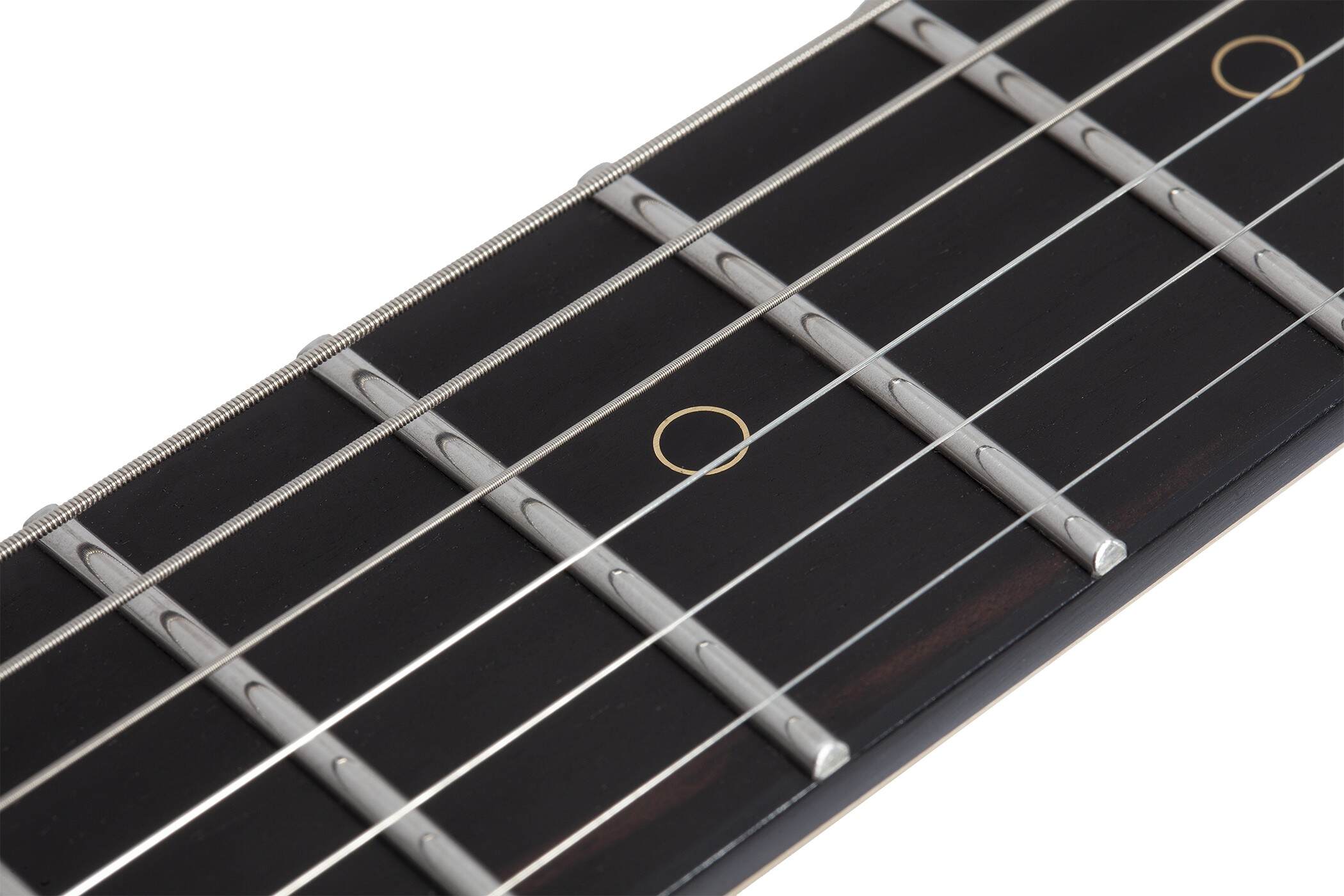 Tempest 50th Anniversary