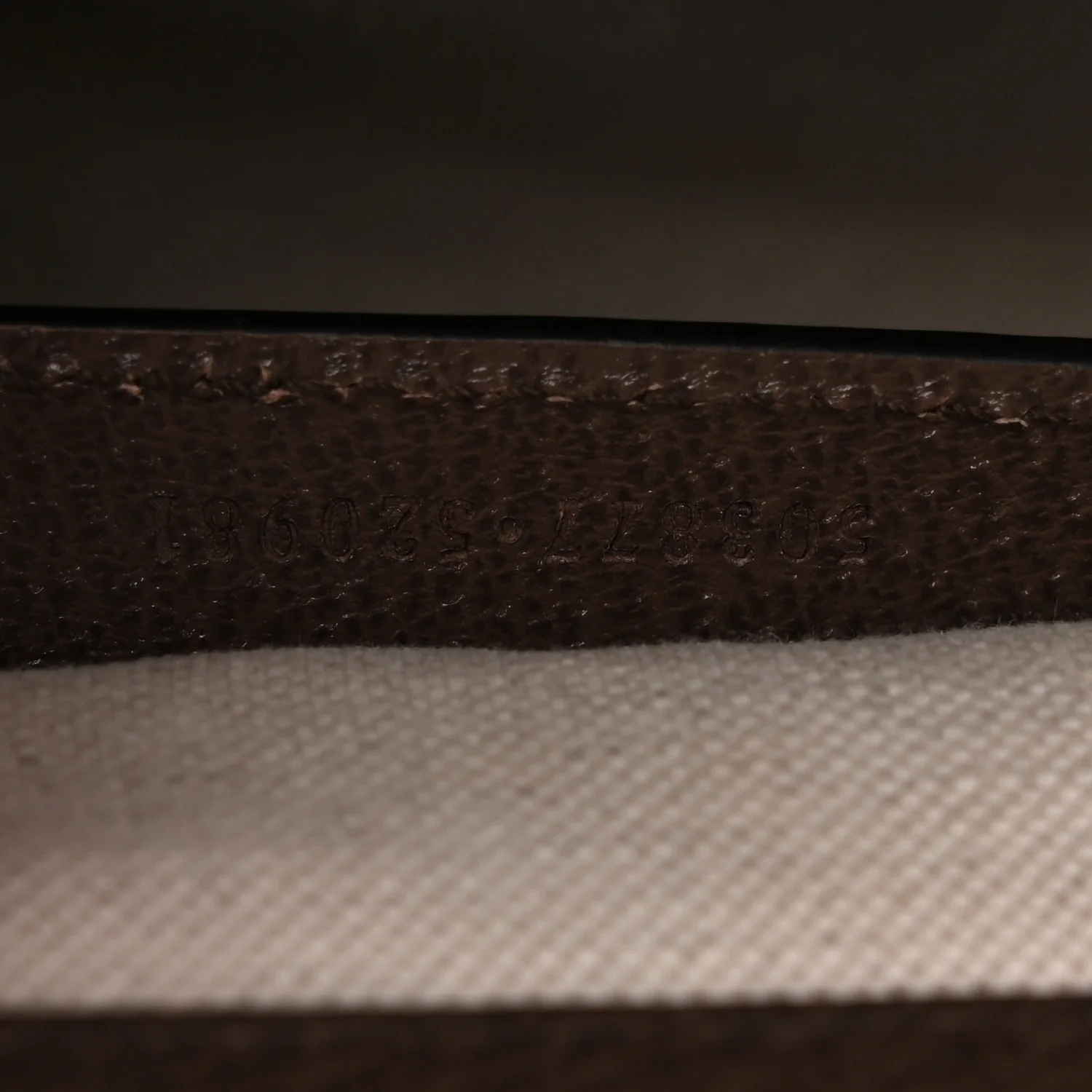 Monogram Jumbo GG Textured Dollar Calfskin Web Small Ophidia Chain Shoulder Bag Camel Ebony New Acero