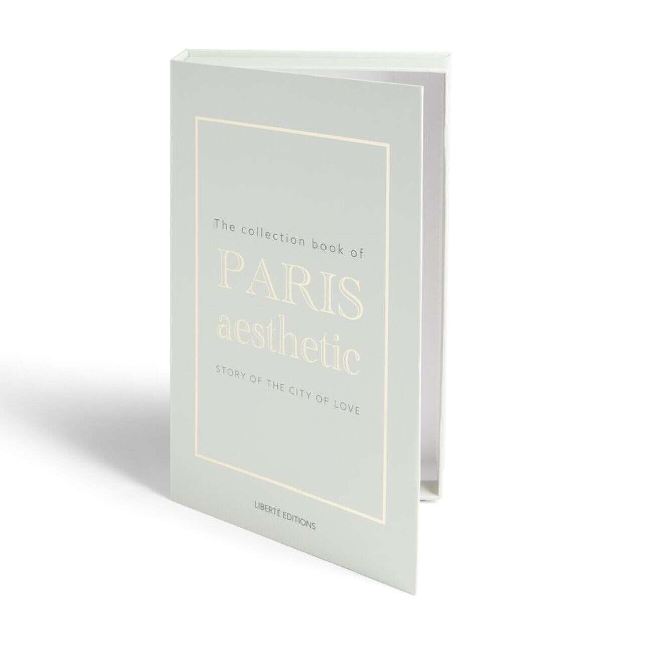 Boîte de rangement forme livre décoratif Paris Aesthetic 27x17x4cm