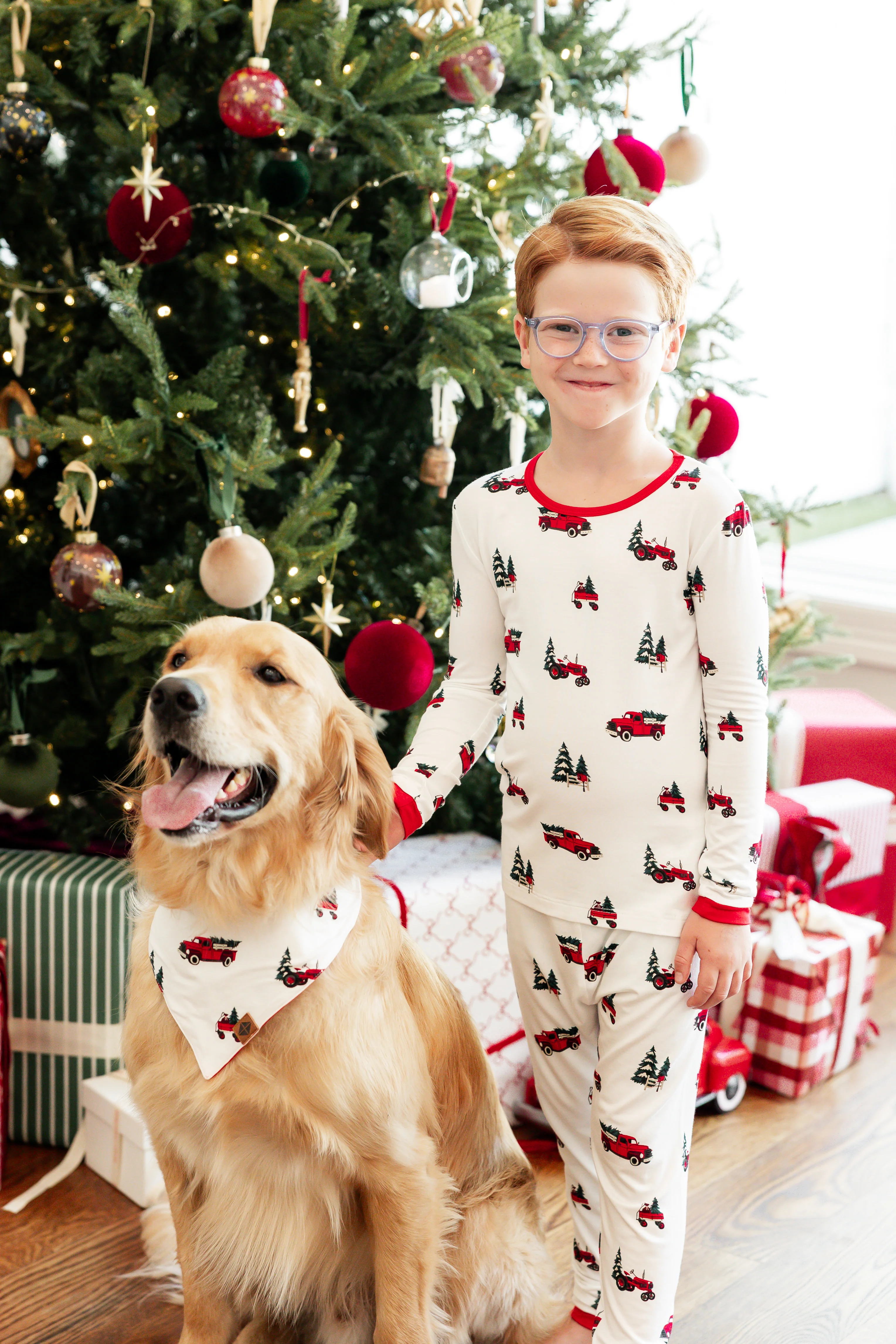 Dog Bandana in Holiday Tree Farm
