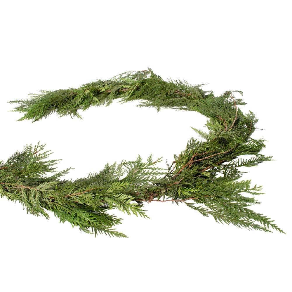 Cottage Farms Direct 20 ft. Fresh Evergreen Cedar Christmas Garland (Live)