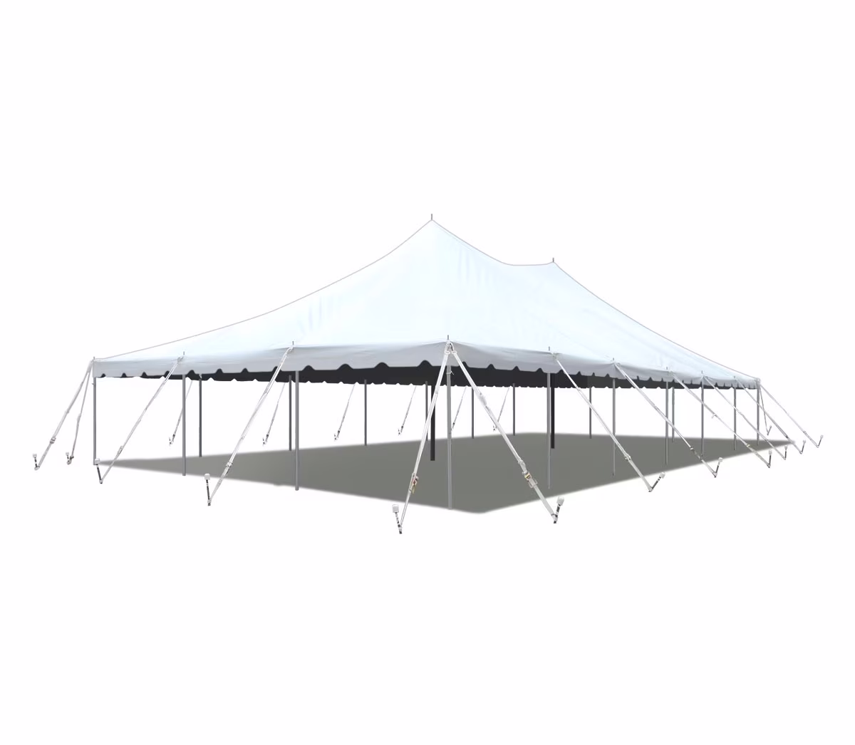 Sectional Outdoor Wedding Event Party Canopy Tent, White Waterproof, 30 ft x 60 ft(30 x 60)