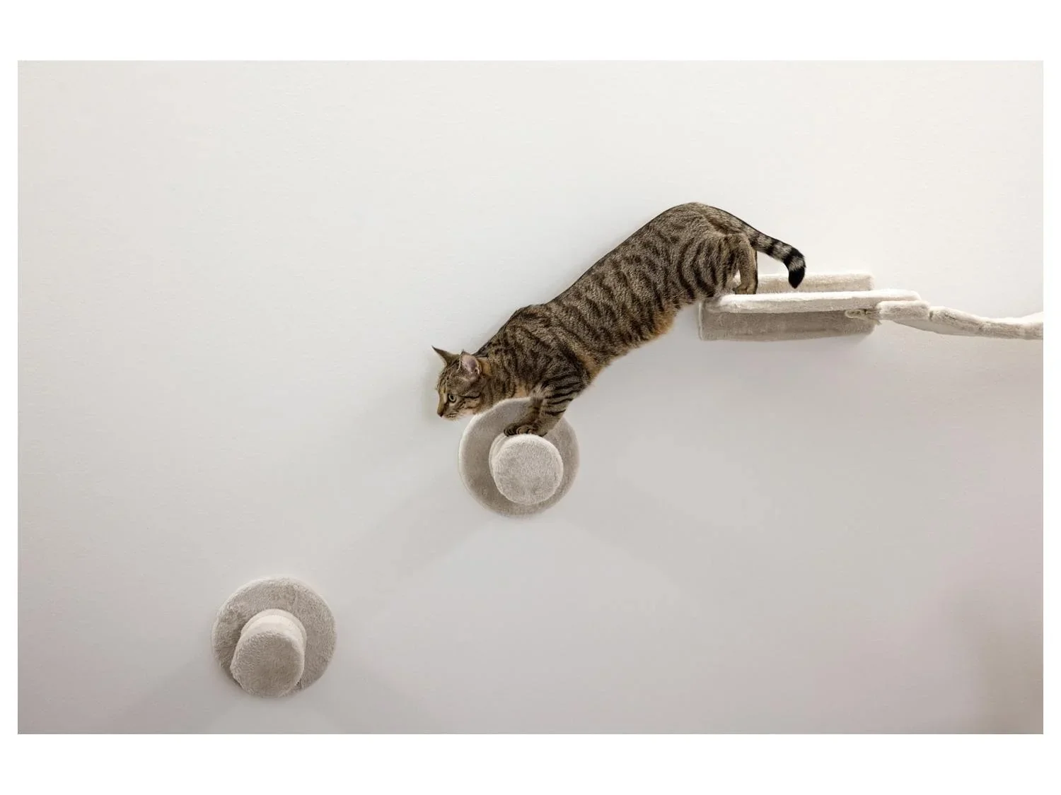 KERBL Mur d'escalade pour chat