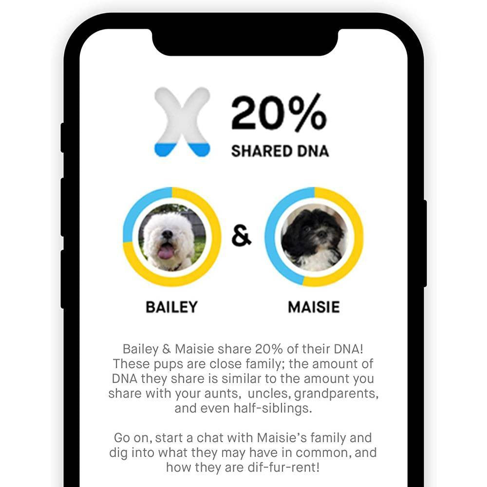 Test ADN canin Embark, kit d'identification de race