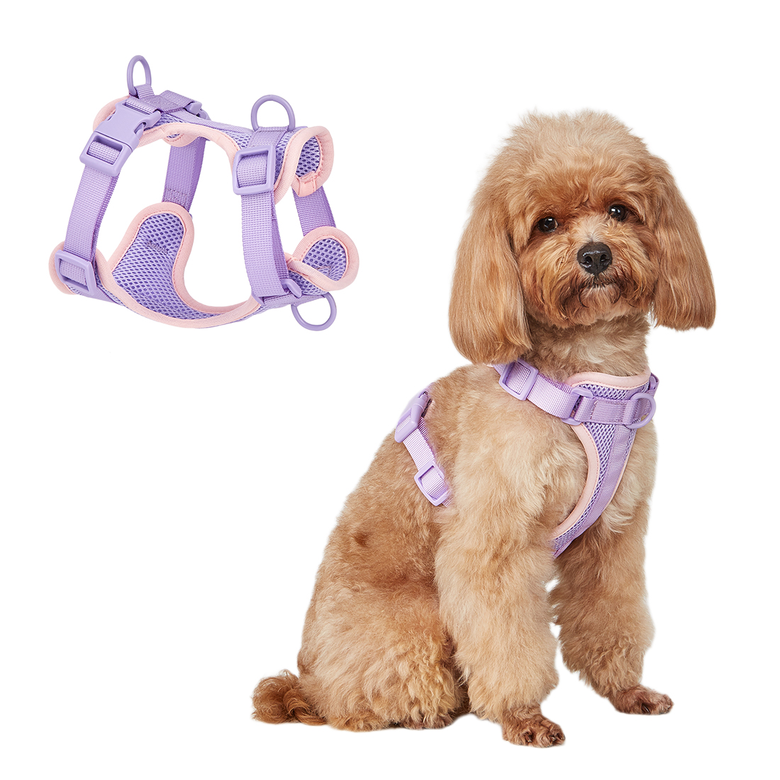 Adjustable Pet Harness Vest Multi-Color
