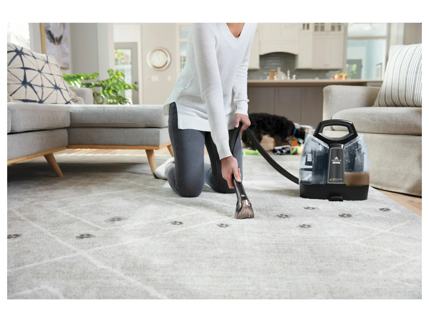Bissell Nettoyeur de taches Spot Clean Pet Plus Black Titanium