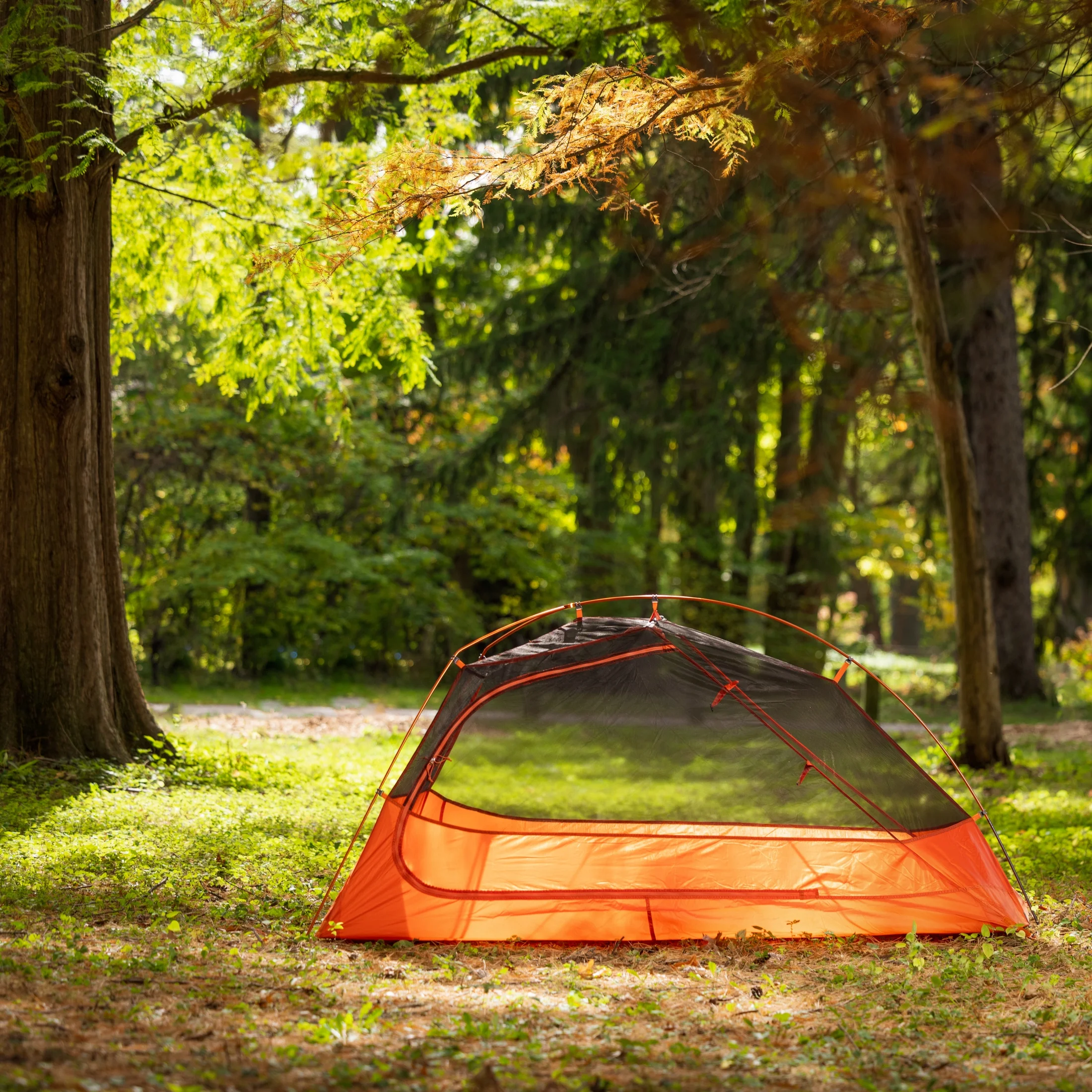 1-Person Lightweight Backpacking Tent, 82 in. x 51 in., 3.65 lb. Carry Weight, Orange - Image 5