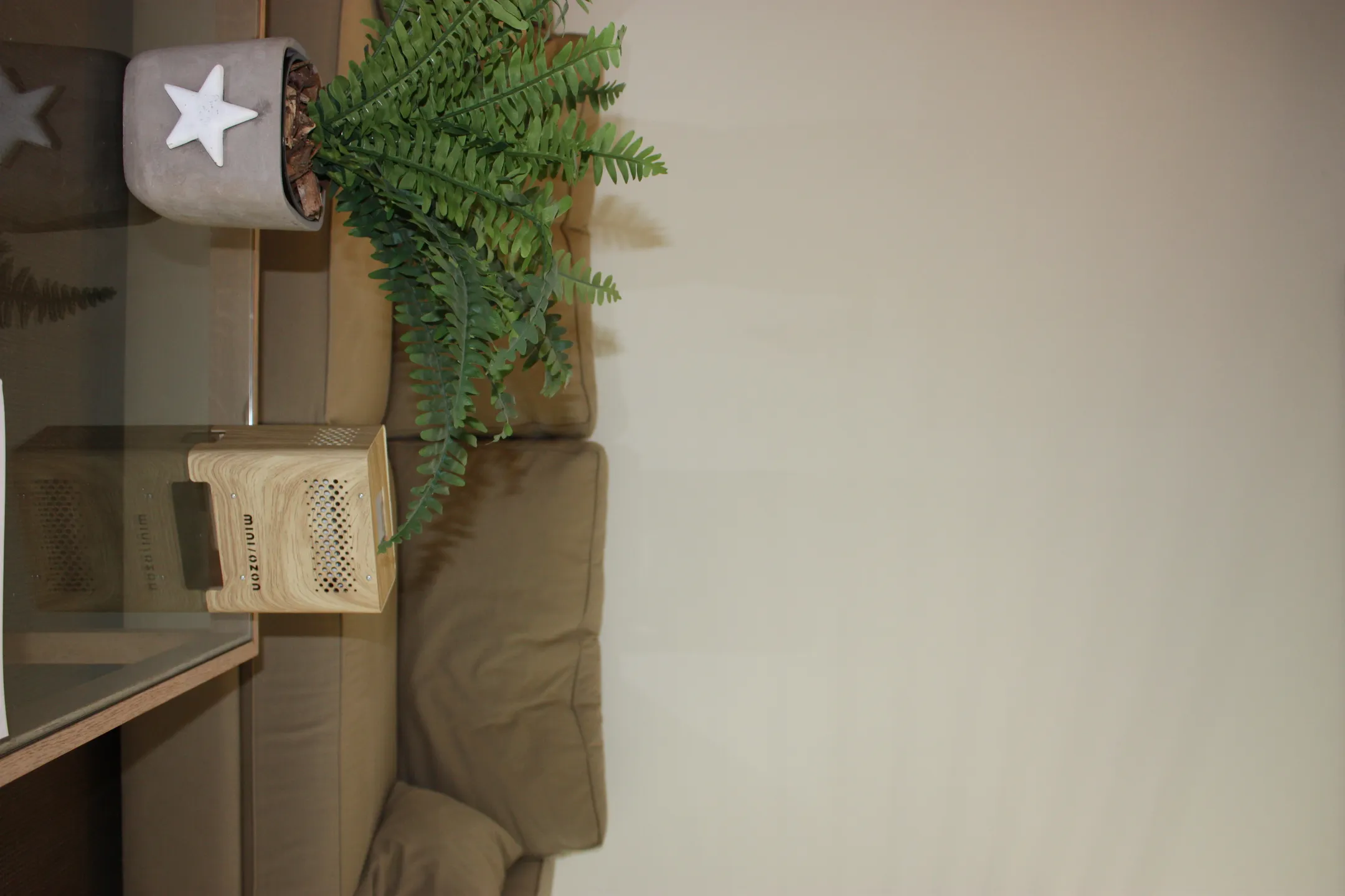 Mini Ozon Luchtreiniger - Wood