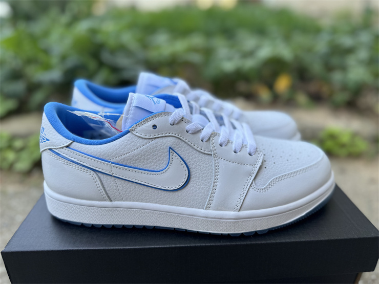 Jordan Air Jordan 1 Low G