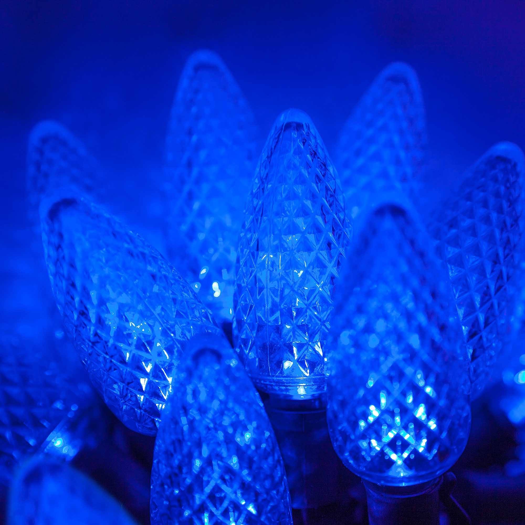 Wintergreen Lighting 25 Light C9 LED Christmas Lights, Blue
