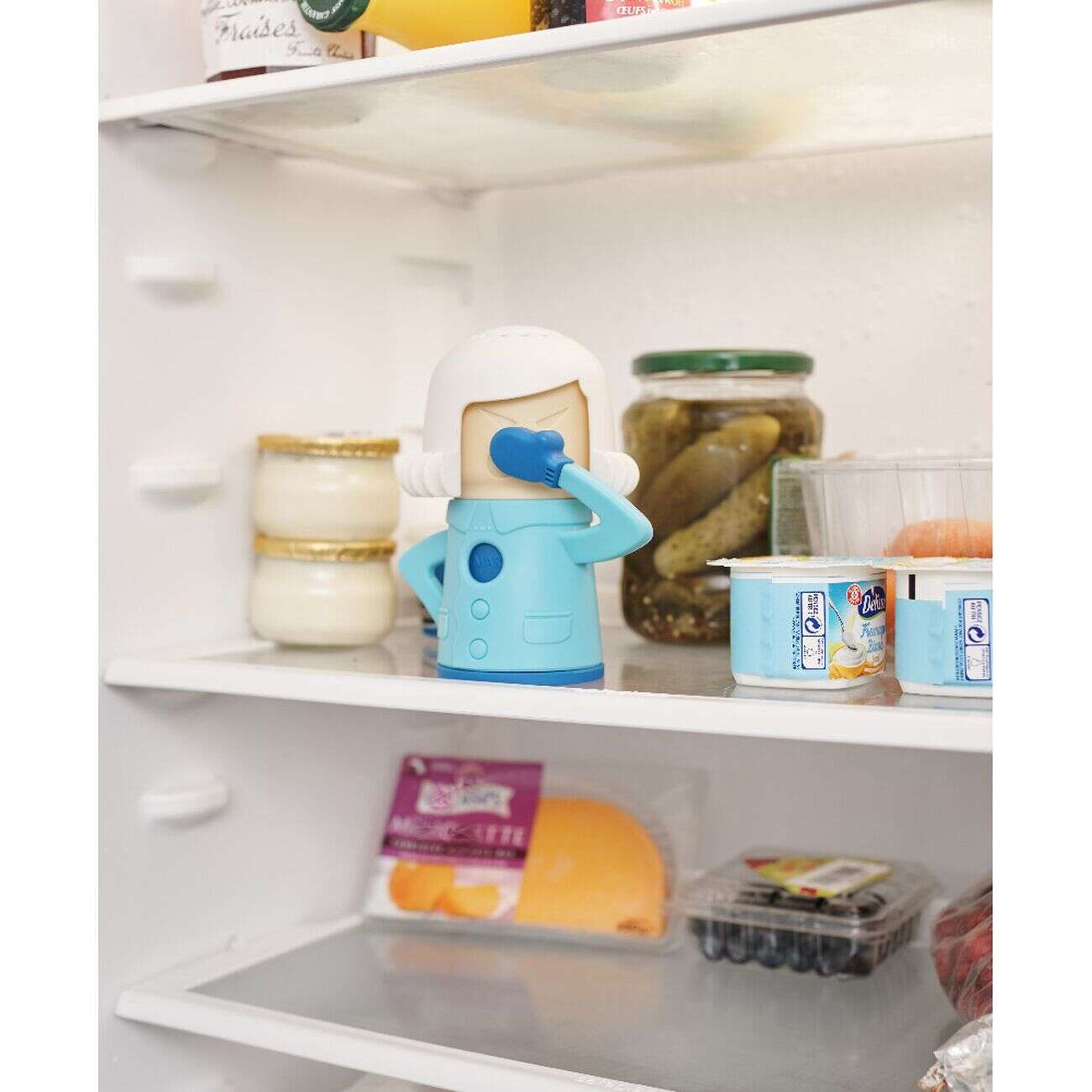 Désodorisant pour frigo Cool Mama