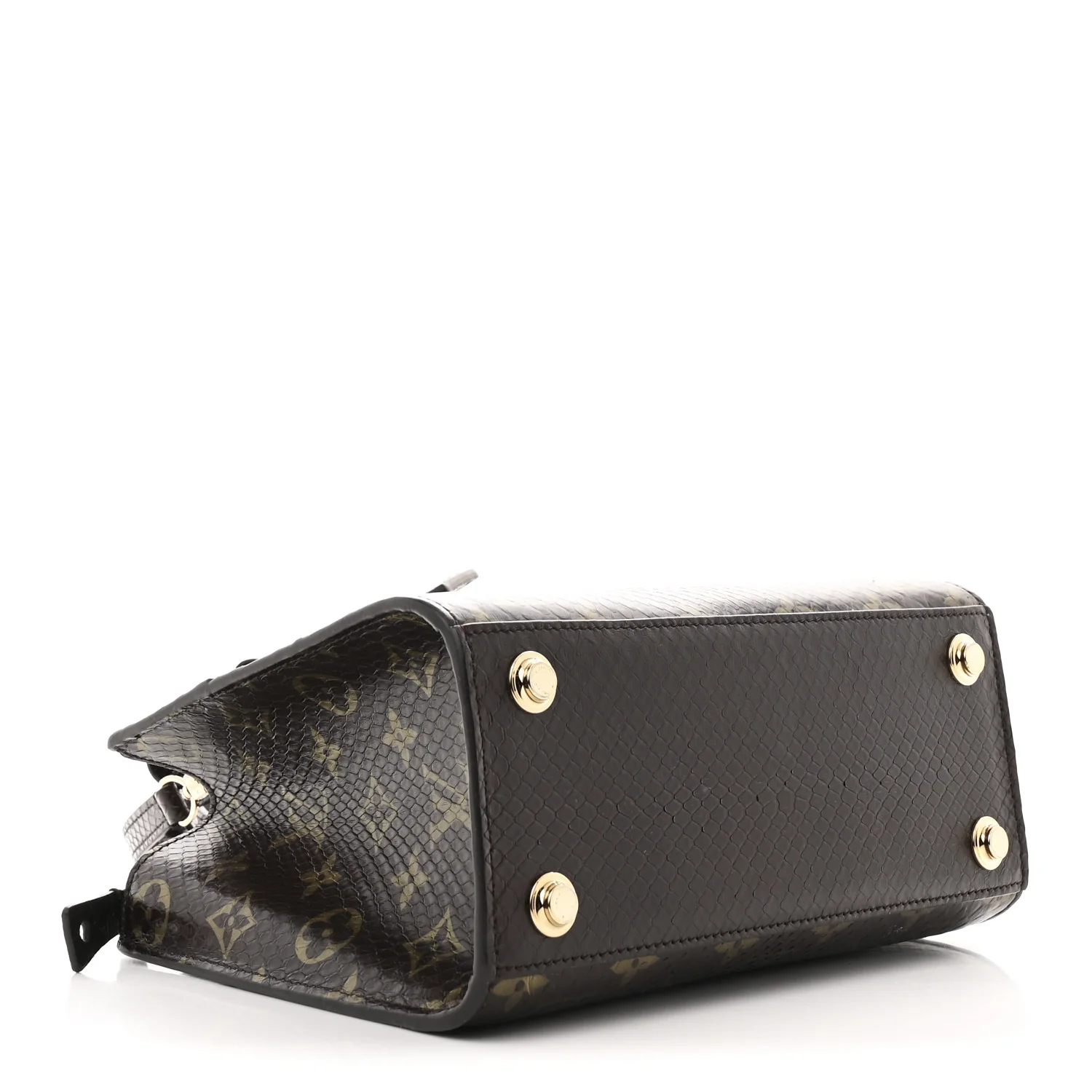 Snakeskin Monogram City Steamer Mini Brown