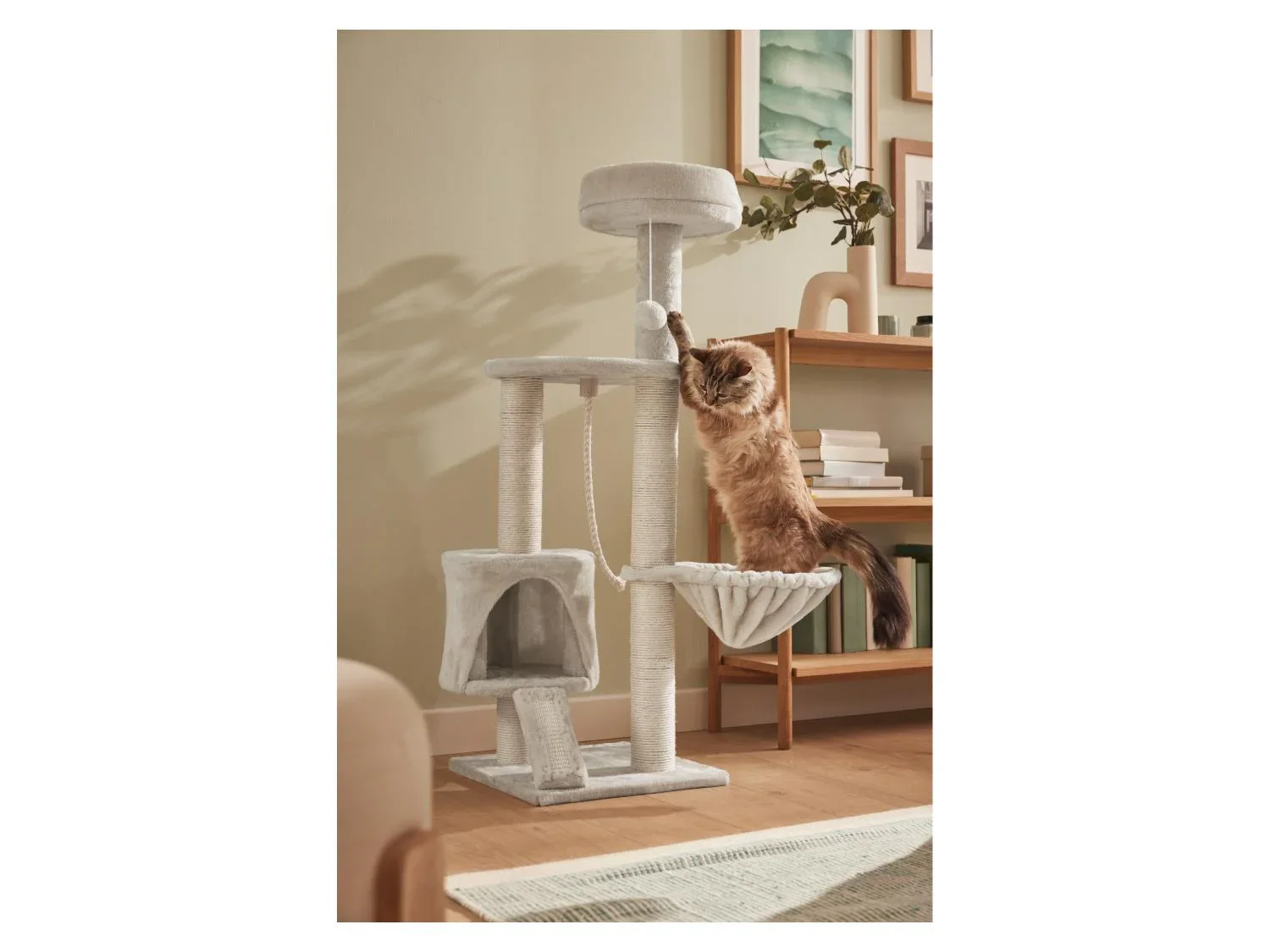 zoofari Arbre  chat, 70 x 115 x 50 cm