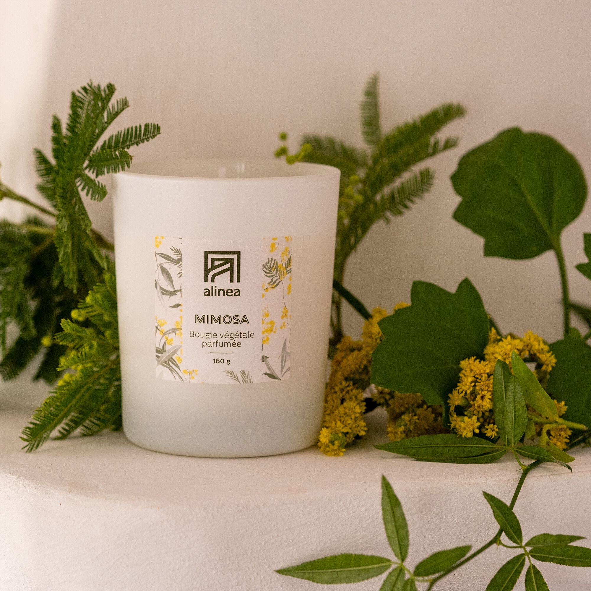SIGNATURE - Bougie parfumée senteur mimosa 160g