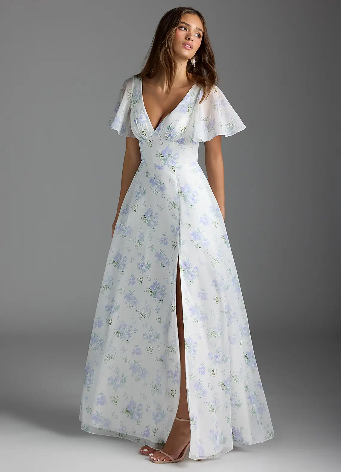 Blue Vintage Floral A-Line Flounce Sleeve Chiffon Dress