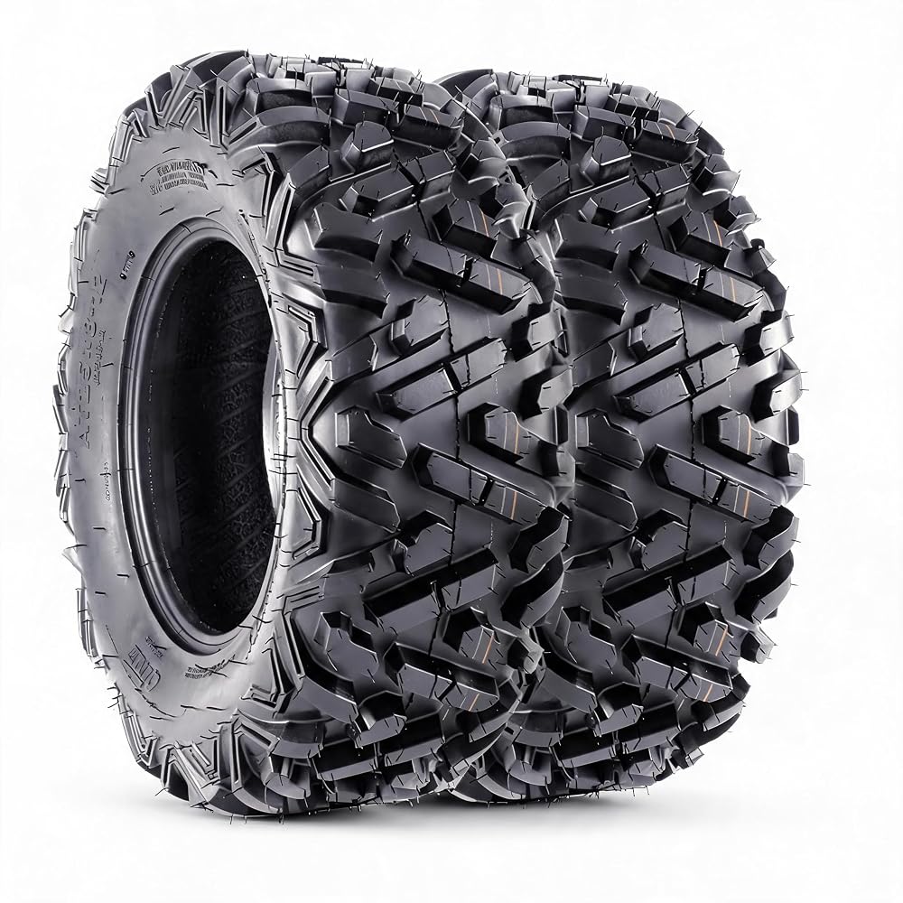 Set of 2-25x10-12 6PR All-Terrain ATV/UTV Tires, Tubeless