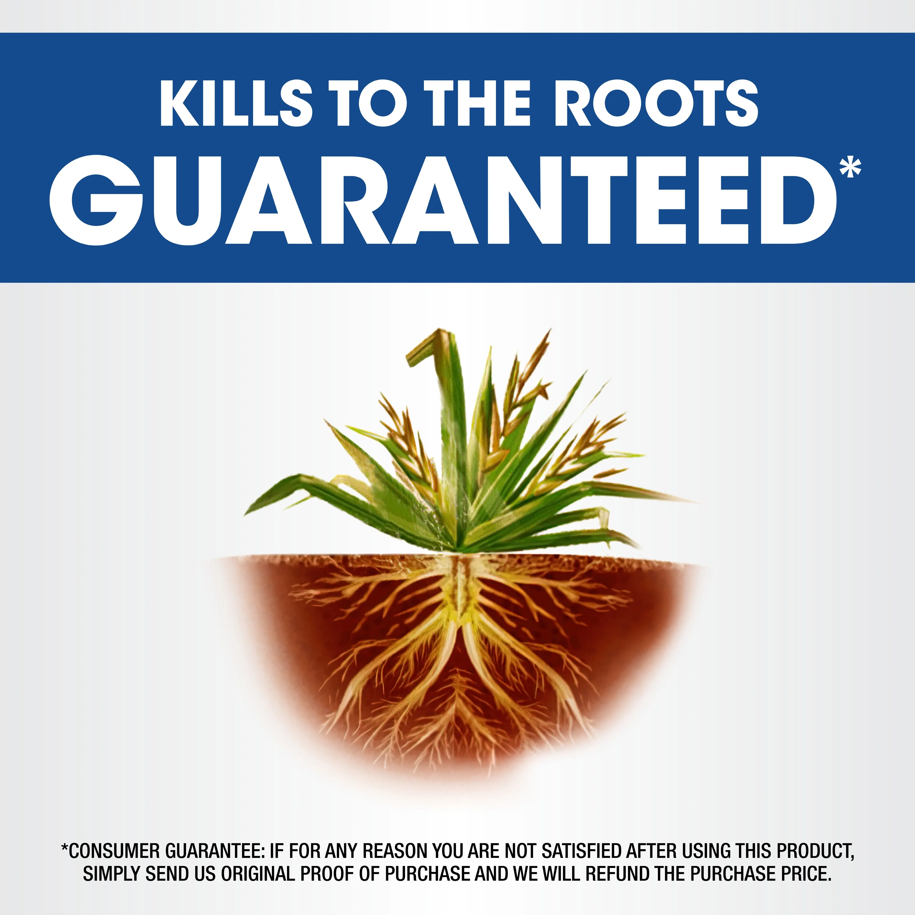 Weed Grass Killer? Concentrate, Use In Flower Beds and other areas of your yard, 1 gal.(1 gal) - Image 2