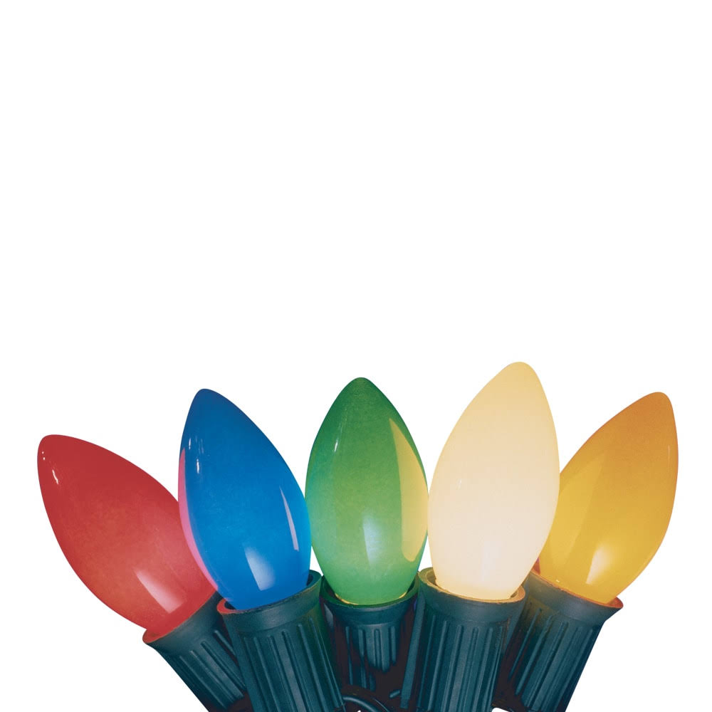 Holiday Living 25-Count 24-ft Incandescent Plug-In Christmas String Lights | W11C0155