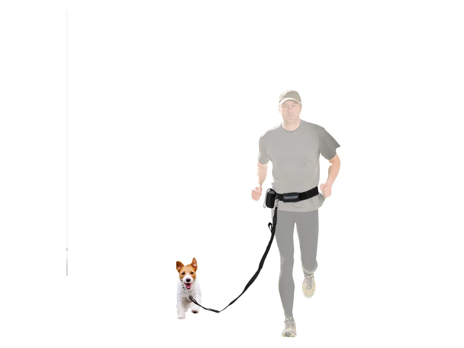 zoofari Laisse ou Collier avec laisse pour chien