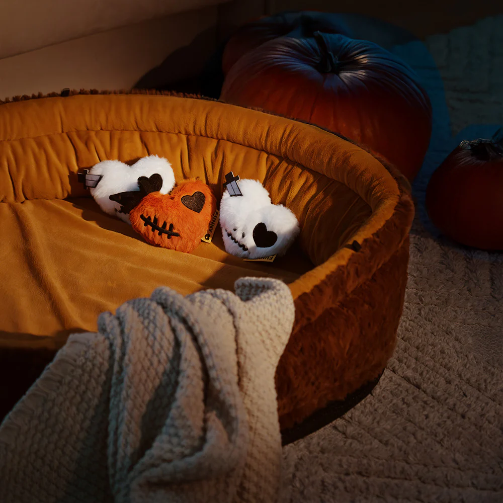 FUNNYFUZZY Plush Squeaky Dog Toy