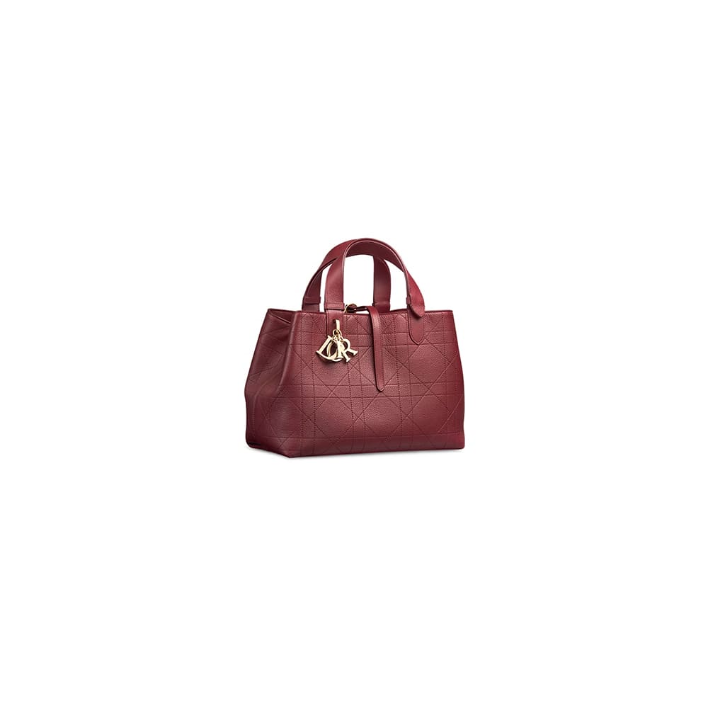 Medium Dior Toujours Bag