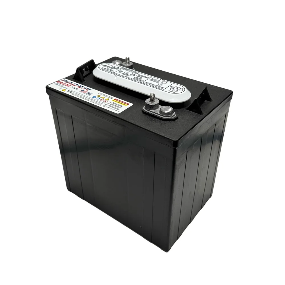 P-105 6 Volt 220Ah Deep Cycle Battery Replaces T-105 | Set of 6(6) - Image 10