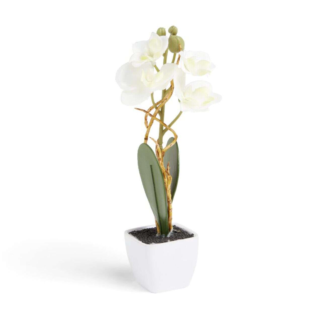 Pot orchidée artificielle blanche H16cm